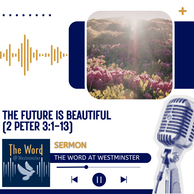 The Future Is Beautiful 