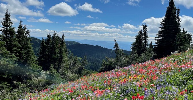 Summer Sunpeaks Services