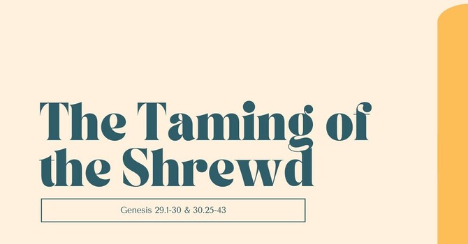 The Taming of the Shrewd