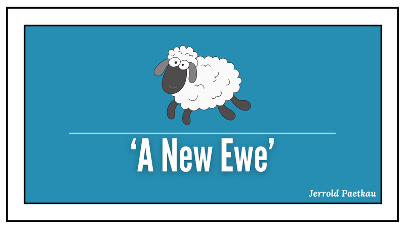 A New Ewe
