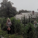 nav image