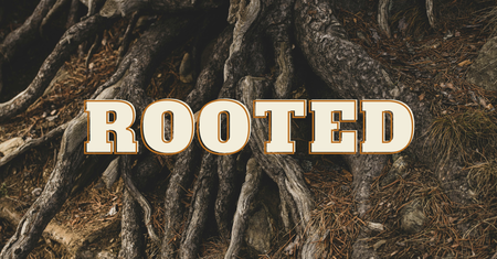 Rooted