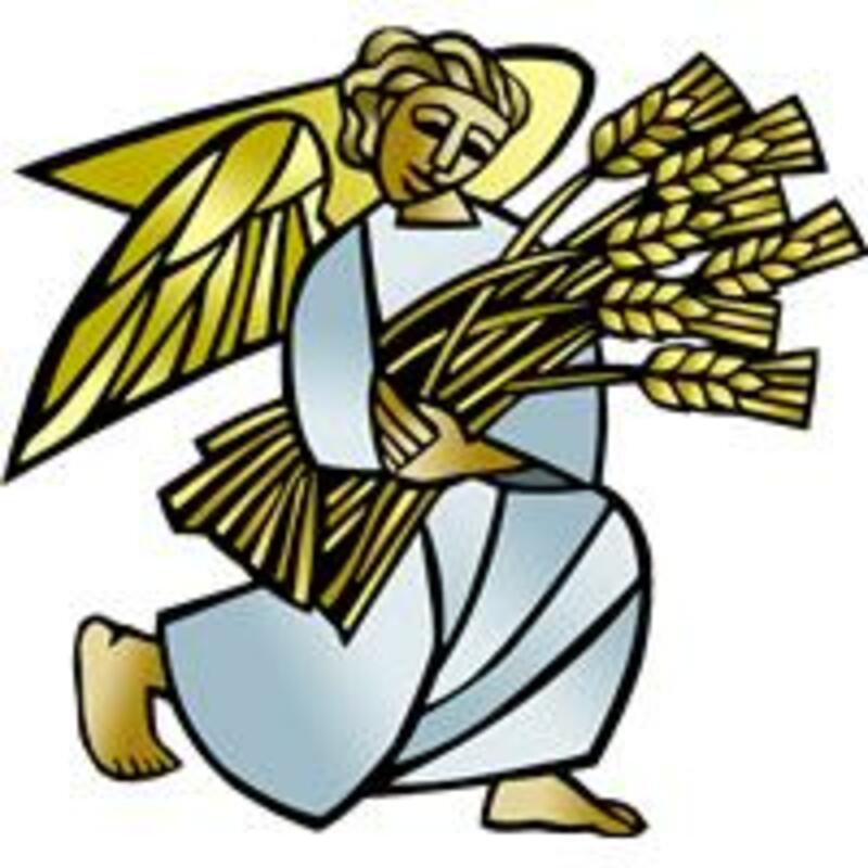 PENTECOST 8_LECTIONARY 16_2026-07-19 Worship