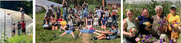 Rolling Bay Presbyterian Youth Group Gives Big Boost to Gifts of Dirt Garden