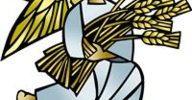 PENTECOST 8_LECTIONARY 16_2026-07-19 Worship