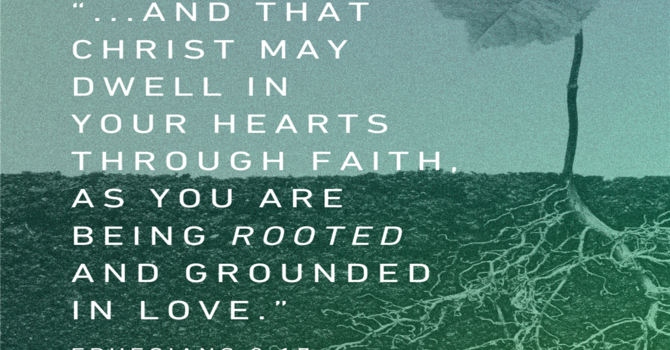 Our Wesleyan Roots