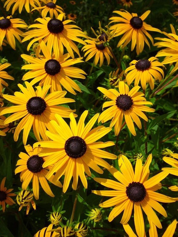 Slideshow image