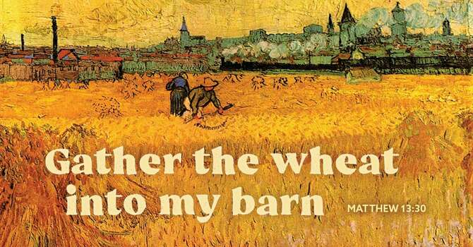 8th Sunday after Pentecost