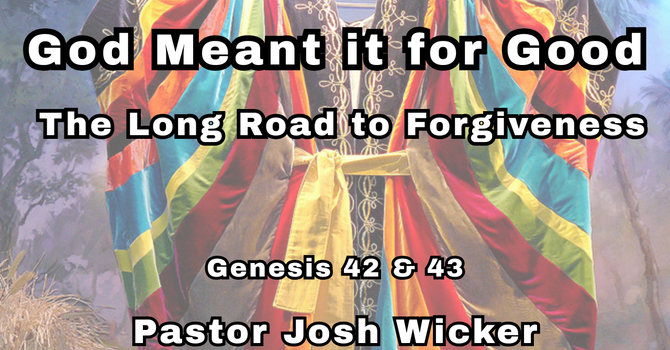 The Long Road to Forgiveness
