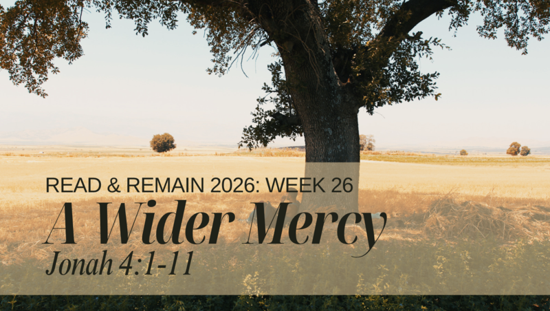 A Wider Mercy