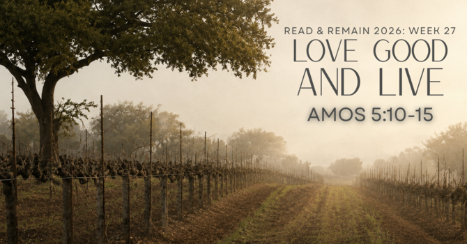 Love Good and Live