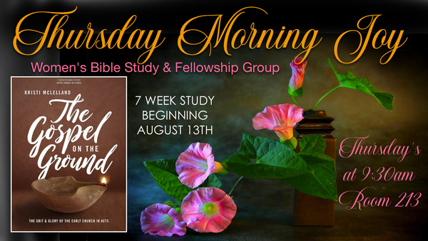 Thursday Morning Joy
