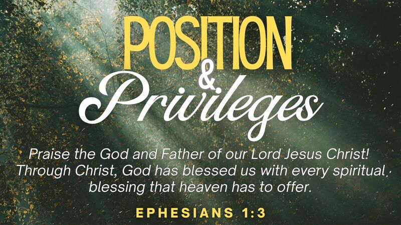 Positions & Privileges