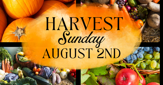 Harvest Sunday