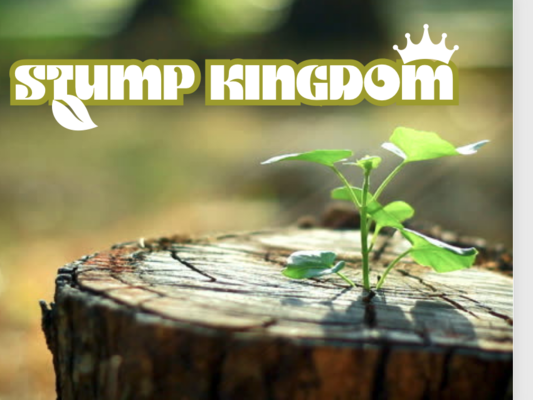 Stump Kingdom