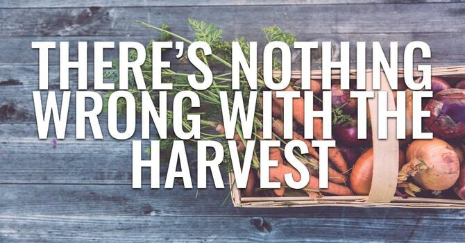 There's Nothing Wrong WithThe Harvest