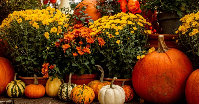 Fall Festival