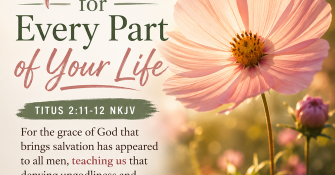 Grace for Every Part of Your Life image