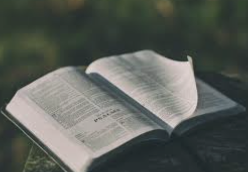 July 19th Sermon