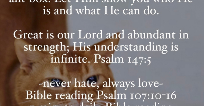 Daily Devotional 7/24/2026 image