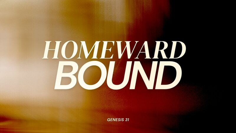 Homeward Bound