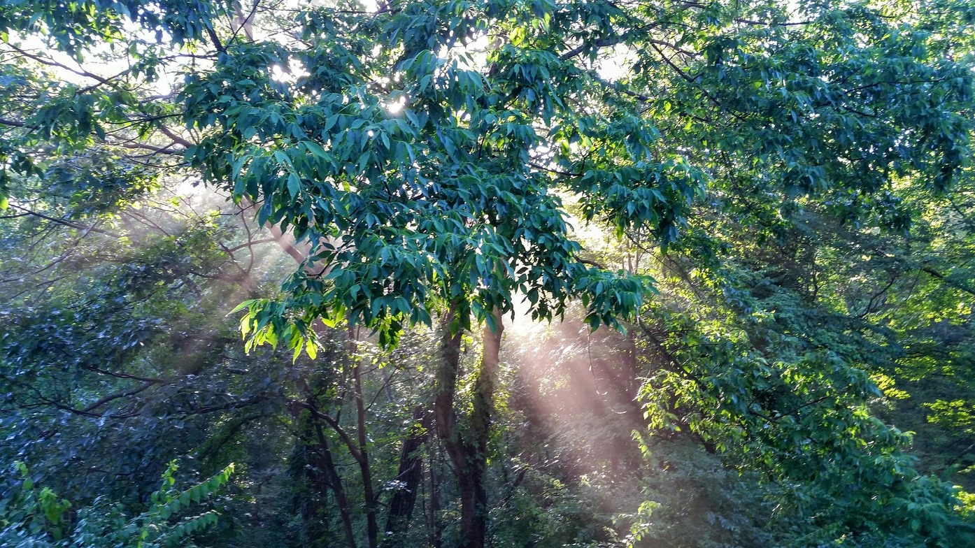 Slideshow image