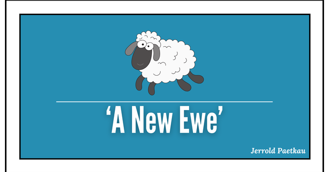 A New Ewe