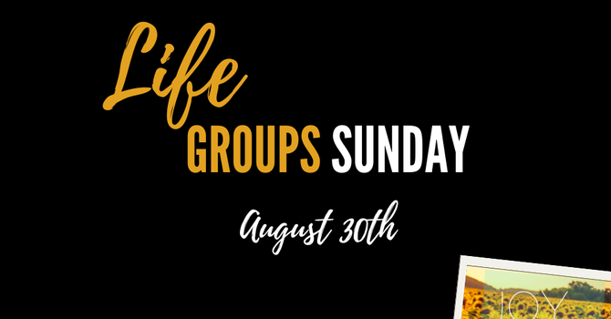 LifeGroups Sunday