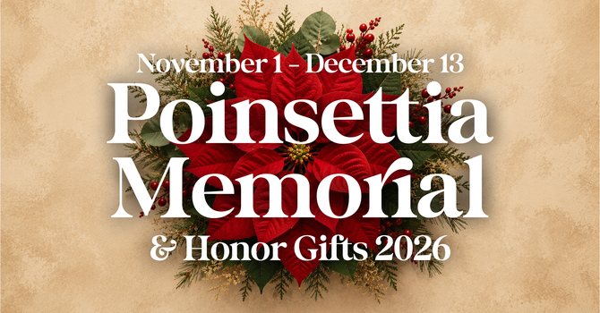Poinsettia Memorial & Honor Gifts