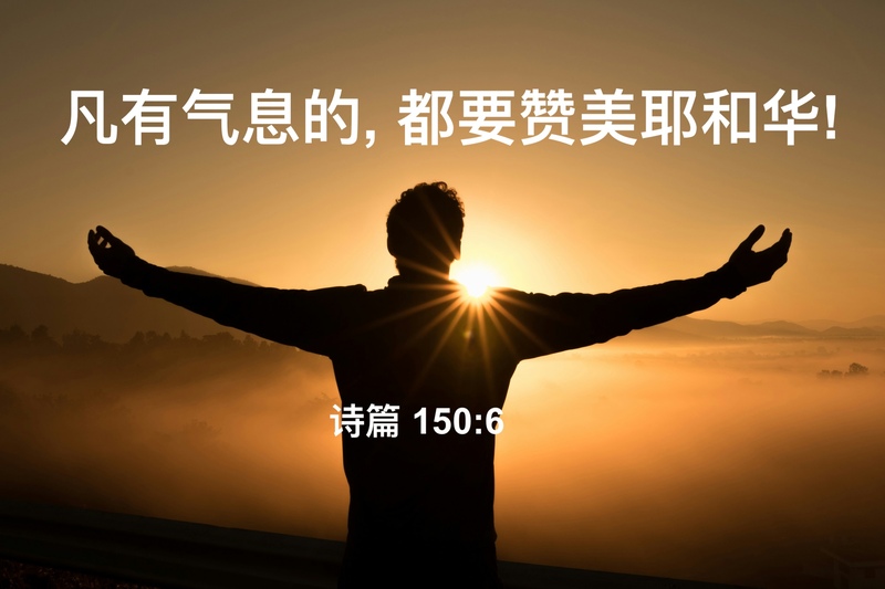 凡有气息的, 都要赞美耶和华! 