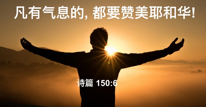 凡有气息的, 都要赞美耶和华! 