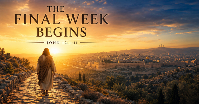 The final week begins