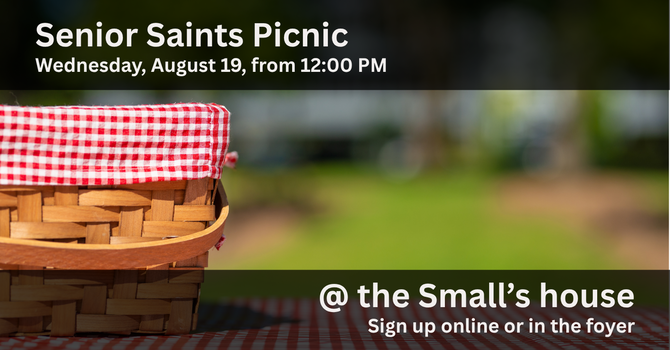 Senior Saints Picnic