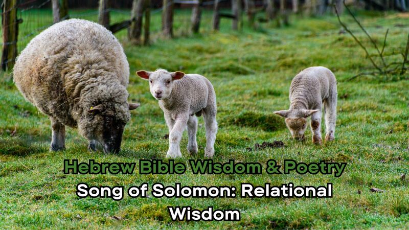 Song of Solomon: Relational Wisdom