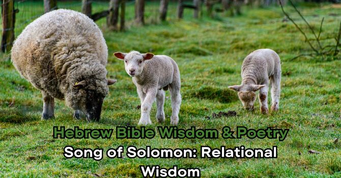 Song of Solomon: Relational Wisdom