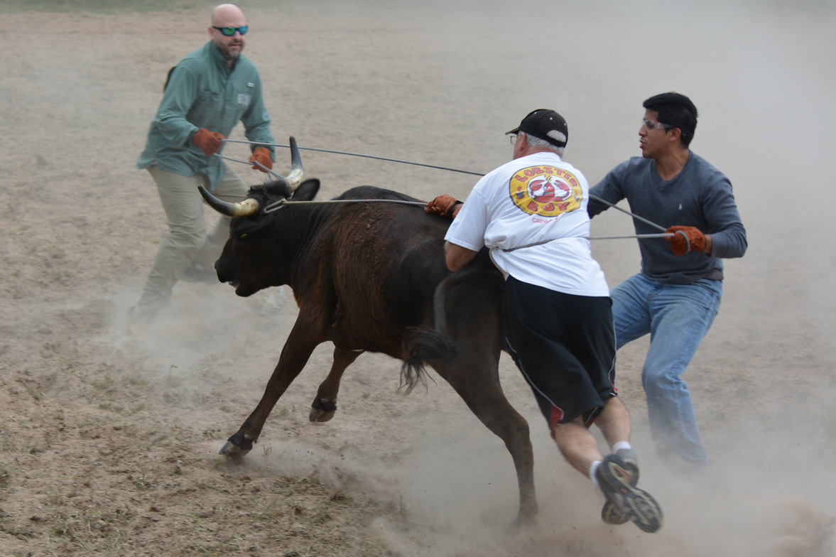 Slideshow image