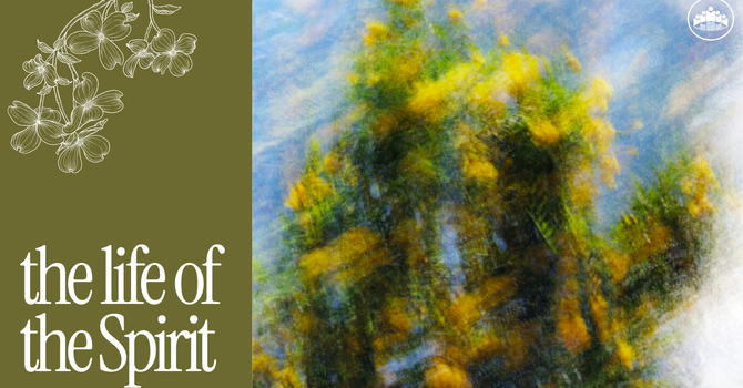 Man of the Spirit vs Man of the Flesh