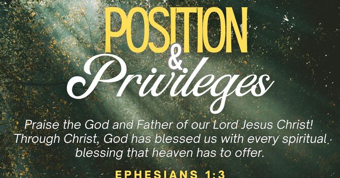 Positions & Privileges