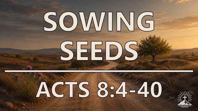 Sowing Seeds
