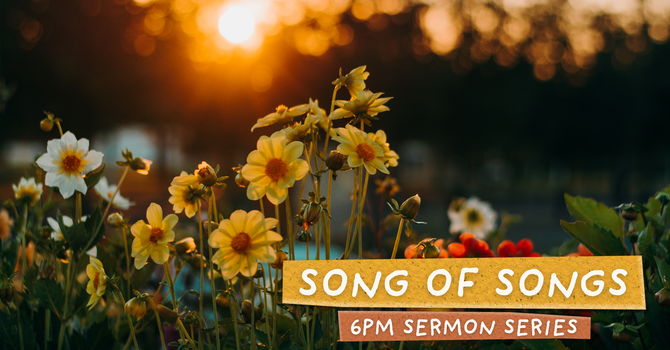 Reading in the Light of King Solomon