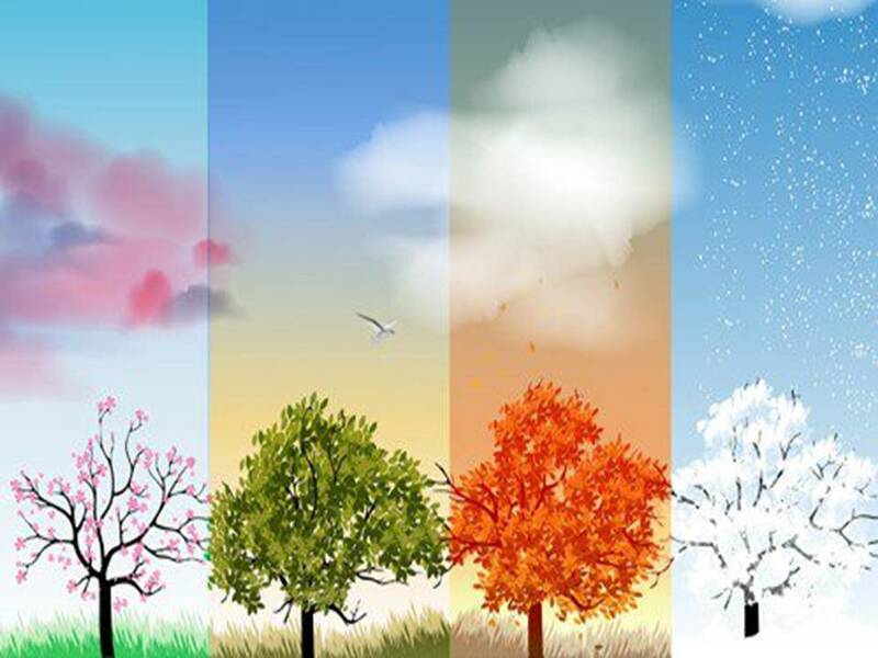 Seasons of Life: Seasons Foundations