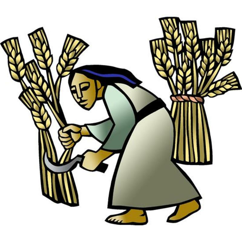  3rd Sunday after Pentecost