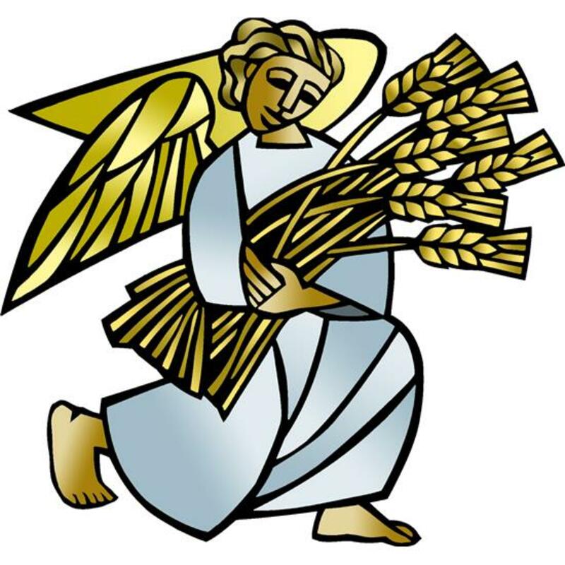  8th Sunday after Pentecost