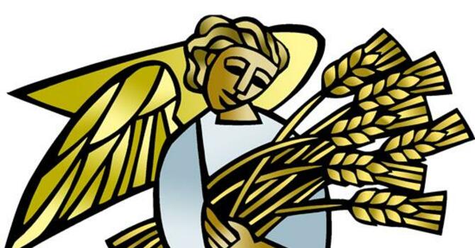  8th Sunday after Pentecost