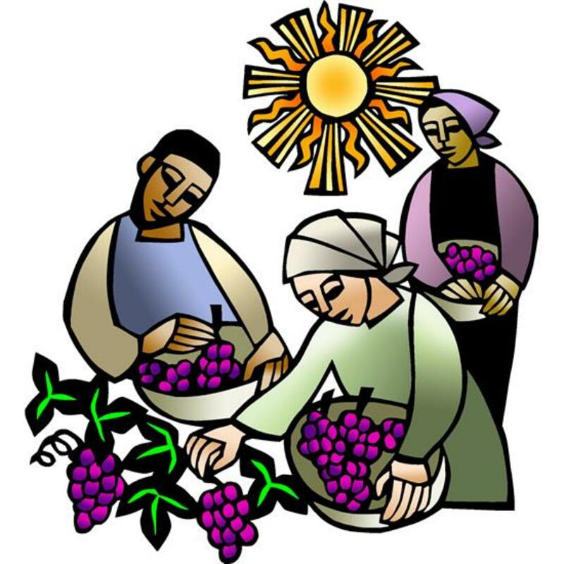 (upcoming) 17th Sunday after Pentecost