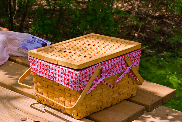 Young-ish adult picnic