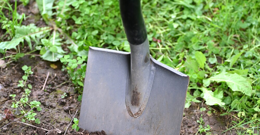 Grounds Work Party