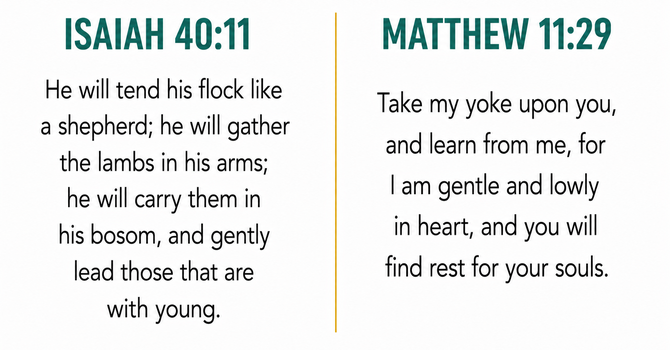Isaiah 40:11 & Matthew 11:29  image