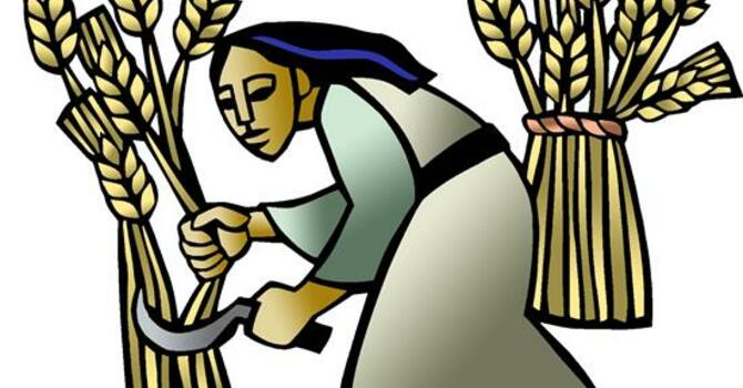  3rd Sunday after Pentecost