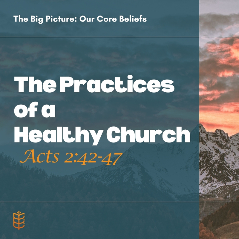 The Practices of a Healthy Church